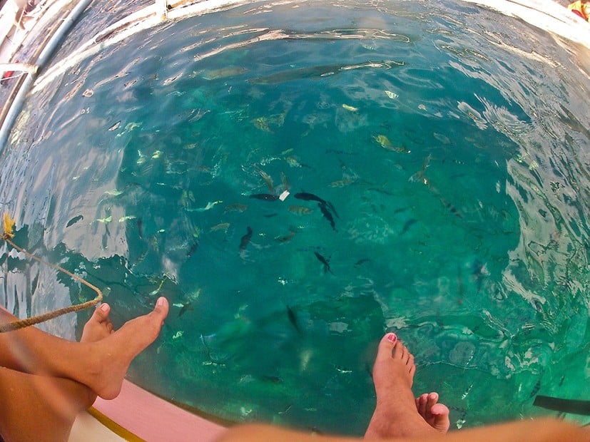 DCIM100GOPRO