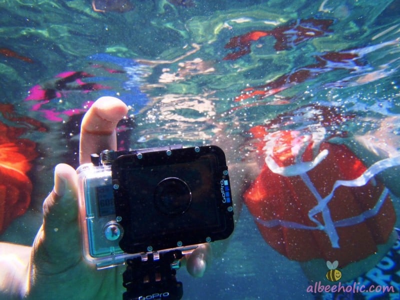 Coron 2013